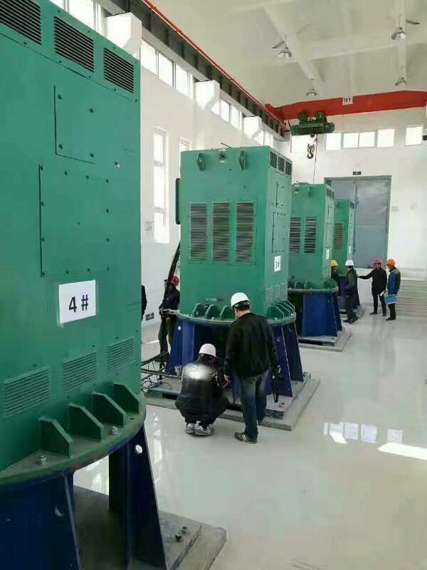 新宁某污水处理厂使用我厂的立式高压电机安装现场